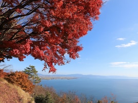 秋に行きたい「滋賀県の絶景ドライブスポット」ランキング！ 2位「奥琵琶湖パークウェイ」、1位は？