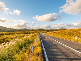 秋に行きたい「山口県の絶景ドライブスポット」ランキング！ 2位「秋吉台カルストロード・秋芳洞周辺ルート」、1位は？