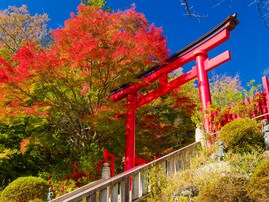 好き＆行ってみたい「東京都の紅葉スポット」ランキング！ 2位「高尾山」を抑えた1位は？【2025年調査】