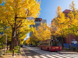 好き＆行ってみたい「神奈川県の紅葉スポット」ランキング！ 2位「山下公園通りイチョウ並木」を抑えた1位は？【2025年調査】