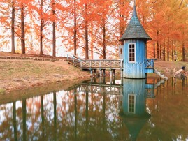 好き＆行ってみたい「埼玉県の紅葉スポット」ランキング！ 2位「あけぼの子どもの森公園」を抑えた1位は？【2025年調査】