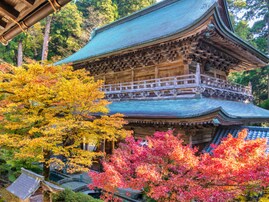 好き＆行ってみたい「福井県の紅葉スポット」ランキング！ 2位「永平寺」、1位は？ 【2025年度調査】