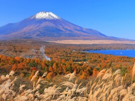好き＆行ってみたい「山梨県の紅葉スポット」ランキング！ 2位「山中湖」、1位は？ 【2025年度調査】