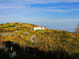秋に行きたい「長野県の絶景ドライブスポット」ランキング！ 2位は「美ヶ原高原美術館周辺ルート」、1位は？
