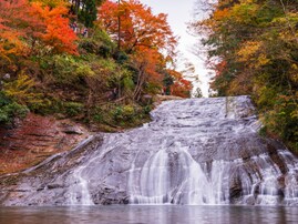 秋に行きたいと思う「千葉県の絶景スポット」ランキング！ 2位「養老渓谷」を抑えた1位は？【2025年調査】