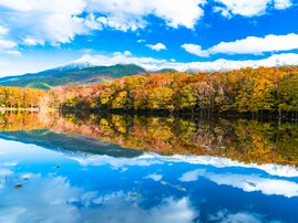 秋に行きたいと思う「北海道の絶景スポット」ランキング！ 2位「知床五湖」を抑えた1位は？ 【2025年調査】