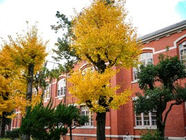 「実績のある卒業生が多い」と思う日本の大学ランキング！ 2位は「京都大学」、1位は？