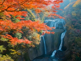 秋に行きたい「茨城県の穴場秘境」ランキング！ 2位「袋田の滝」を抑えた1位は？ 【2025年調査】