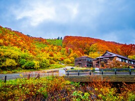 秋に行きたい「青森県の絶景ドライブスポット」ランキング！ 「八甲田山酸ヶ湯温泉周辺ルート」を大差で抑えた1位は？