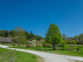 秋に行きたい「岩手県の絶景ドライブスポット」ランキング！ 2位「遠野ふるさと村周辺ルート」を抑えた同率1位は？