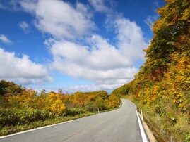 秋に行きたい「宮城県の絶景ドライブスポット」ランキング！ 2位「蔵王エコーライン・御釜周辺ルート」、1位は？