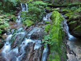 福井県で「秋に行きたい滝」ランキング！ 同率2位「瓜割の滝」「一乗滝」を抑えた1位は？ 【2025年調査】