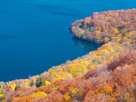 秋に行きたい「秋田県の絶景ドライブスポット」ランキング！ 2位「十和田湖西湖岸周遊ルート」を2票差で抑えた1位は？