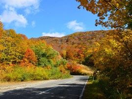 秋に行きたい「福島県の絶景ドライブスポット」ランキング！ 2位「磐梯山ゴールドライン」を抑えた1位は？