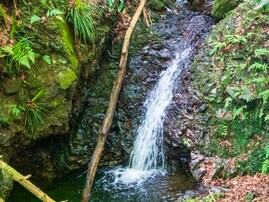 東京都で「秋に行きたい滝」ランキング！ 2位「高尾山薬王院 蛇滝」を抑えた1位は？【2025年調査】