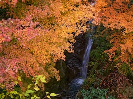 千葉県で「秋に行きたい滝」ランキング！ 2位「地蔵堂の滝（白糸の滝）」を抑えた1位は？【2025年調査】