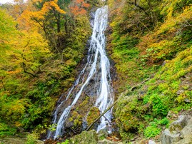 埼玉県で「秋に行きたい滝」ランキング！ 2位「丸神の滝」を抑えた1位は？【2025年調査】