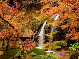 茨城県で「秋に行きたい滝」ランキング！ 2位「月待の滝」を抑えた1位は？【2025年調査】