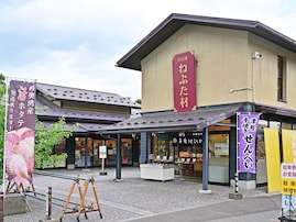 青森県の市で「老後に住みたい」と思う市ランキング！ 「弘前市」を抑えた1位は？【2025年調査】