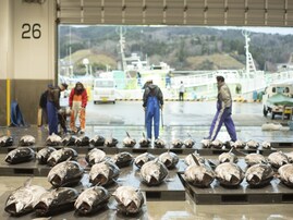 宮城県の市で「老後に住みたい」と思う市ランキング！ 「気仙沼市」を抑えた圧倒的1位は？【2025年調査】