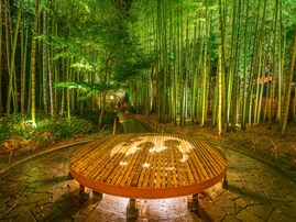 【静岡県】「伊豆の小京都」歴史ある「修善寺温泉」の魅力とは？ 竹林の散策でゆったり風情のある旅に