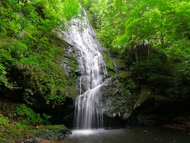 秋に行きたい「京都府の穴場秘境」ランキング！ 2位「琴滝」を抑えた1位は？ 【2025年調査】