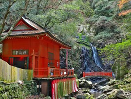 秋に行きたい「大阪府の穴場秘境」ランキング！ 2位「犬鳴山七宝瀧寺」を抑えた1位は？ 【2025年調査】