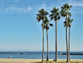 好き＆行ってみたい「兵庫県の海の駅」ランキング！ 2位「こうべすま海の駅」、1位は？ 【2025年調査】