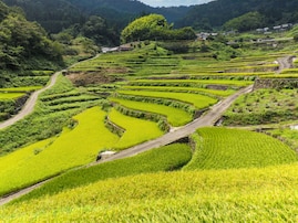 秋に行きたい「広島県の穴場秘境」ランキング！ 2位「井仁の棚田」、1位は？ 【2025年度調査】