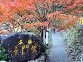 秋に行きたい「山口県の穴場秘境」ランキング！ 2位「長門峡」、1位は？ 【2025年度調査】