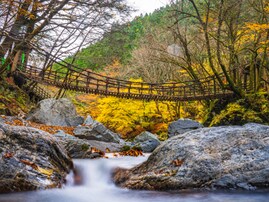 秋に行きたい「徳島県の穴場秘境」ランキング！ 2位「奥祖谷二重かずら橋」、1位は？ 【2025年度調査】