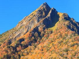 秋に行きたい「愛媛県の穴場秘境」ランキング！ 2位「石鎚山御来光林道」、1位は？ 【2025年度調査】