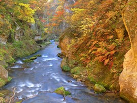 【宮城県】1人旅でも“浮かない”と話題の「鳴子温泉」とは？ 「温泉のデパート」の魅力
