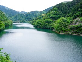 秋に行きたい「福岡県の穴場秘境」ランキング！ 2位「犬鳴渓谷」を抑えた1位は？ 【2025年調査】