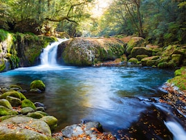 秋に行きたい「熊本県の穴場秘境」ランキング！ 2位「菊池渓谷」を抑えた1位は？ 【2025年調査】