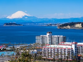 好き＆行ってみたい「神奈川県の海の駅」ランキング！ 2位「しょうなん・逗子マリーナ海の駅」を抑えた1位は？【2025年調査】
