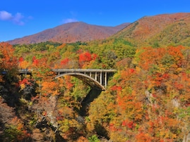 秋に行きたい「宮城県の穴場秘境」ランキング！ 2位「鳴子峡」を抑えた1位は？ 【2025年調査】