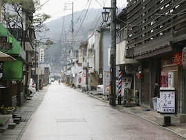 【岡山県】「女性客に人気の……」“美肌の湯”で人気「湯郷温泉」の魅力とは？ 「日本らしい滞在」との声