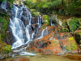 秋に行きたいと思う「福岡県の絶景スポット」ランキング！ 2位「白糸の滝」、1位は？ 【2025年調査】