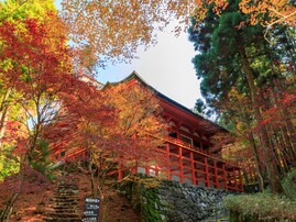 好き＆行ってみたい「滋賀県の紅葉スポット」ランキング！ 2位「比叡山延暦寺」を抑えた1位は？【2025年調査】