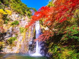 好き＆行ってみたい「大阪府の紅葉スポット」ランキング！ 2位「明治の森箕面国定公園」を抑えた1位は？【2025年調査】