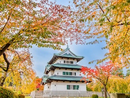 青森県の市で「名前がかっこいいと思う市」ランキング！ 2位「弘前市」を2票差で抑えた1位は？【2025年調査】