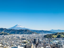 静岡県の市で「老後に住みたい」と思う市ランキング！ 2位「静岡市」を抑えた1位は？ 【2025年調査】