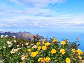 秋に行きたいと思う「福井県の絶景スポット」ランキング！ 2位「レインボーライン山頂公園」、1位は？
