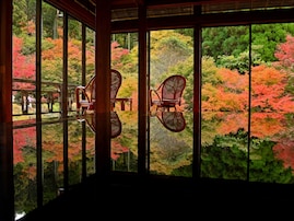 好き＆行ってみたい「佐賀県の紅葉スポット」ランキング！ 2位「環境芸術の森」を抑えた1位は？【2025年調査】