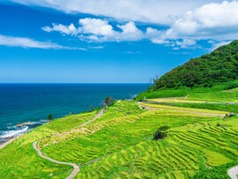 石川県の市で「治安がいい」と思う市ランキング！ 2位「輪島市」を抑えた1位は？【2025年調査】