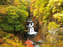 宮城県で「秋に行きたい滝」ランキング！ 2位「鳳鳴四十八滝」を抑えた1位は？【2025年調査】