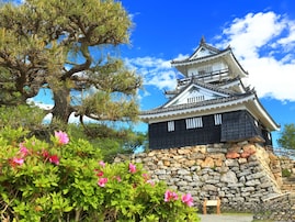 静岡県の市で「治安がいい」と思う市ランキング！ 2位「浜松市」を抑えた1位は？ 【2025年調査】