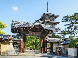 香川県の市で「名前がかっこいい」と思う市ランキング！ 2位「善通寺市」を抑えた1位は？【2025年調査】