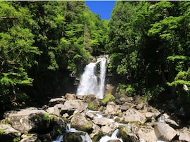 山形県で「秋に行きたい滝」ランキング！ 2位「一ノ滝・二ノ滝・三ノ滝」を抑えた1位は？【2025年調査】